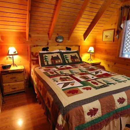 Cute Updated Mountain Cabin Fireplace #3 Helen Bagian luar foto