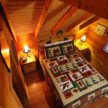 Cute Updated Mountain Cabin Fireplace #3 Helen Bagian luar foto