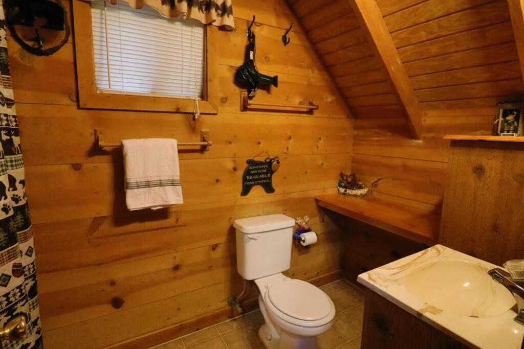Cute Updated Mountain Cabin Fireplace #3 Helen Bagian luar foto