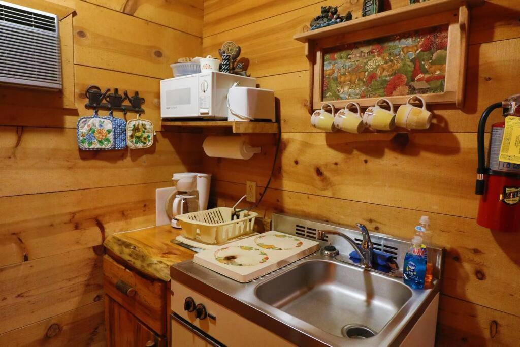 Cute Updated Mountain Cabin Fireplace #3 Helen Bagian luar foto