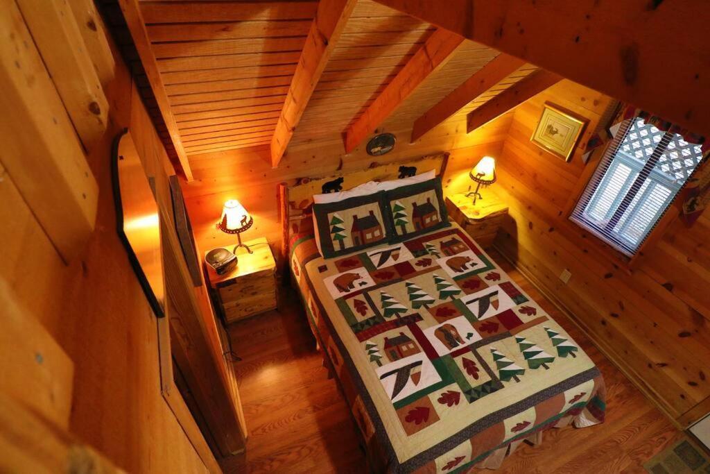 Cute Updated Mountain Cabin Fireplace #3 Helen Bagian luar foto